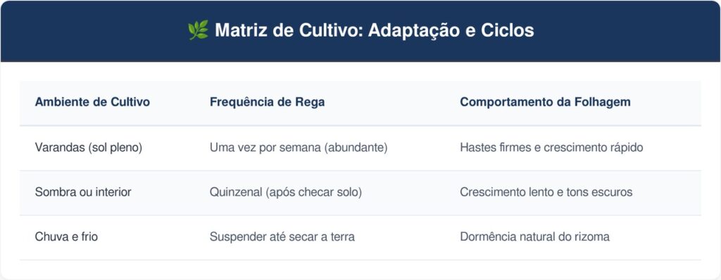 Espada-de-sao-jorge-tabela-1-1024x398 A planta rústica mais imbatível para cultivar na varanda: como cuidar e fazer esta planta soltar novos brotos