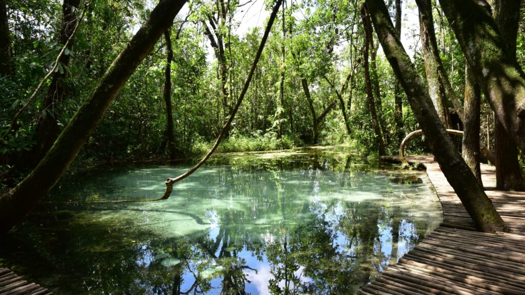 Fazenda_Areia_Que_Canta-1024x576 Belezas naturais cuidadas com carinho por uma história de união: destino com rios limpos garante o ambiente ideal para repouso e reflexão