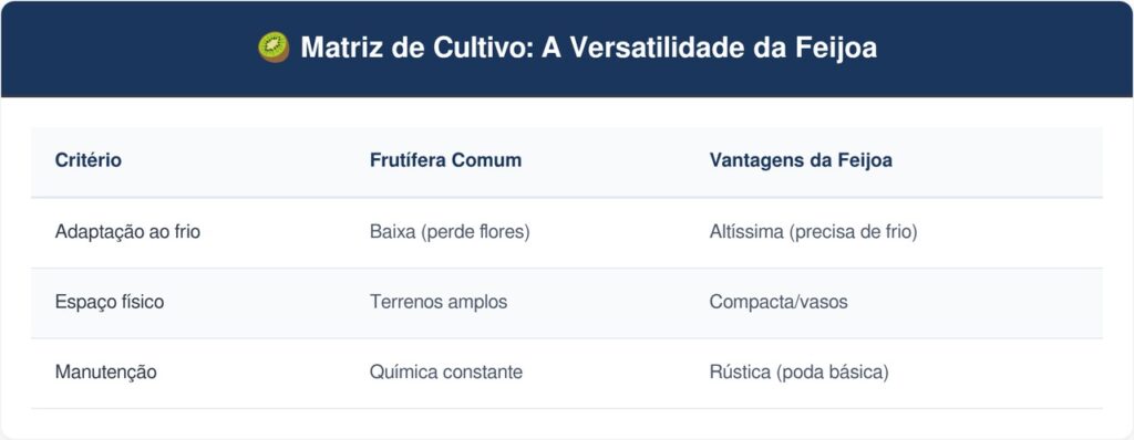 Feijoa-tabela-1024x398 A fruta curiosa que tem cor verde brilhante e sabor de abacaxi com menta e que poucos brasileiros conhecem