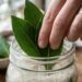 Colocar três folhas de louro dentro do pote de arroz cru: entenda a utilidade desse hábito e os motivos para adotá-lo sempre que reabastecer o mantimento