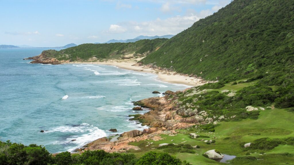 A cidade onde golfinhos selvagens pescam ao lado de humanos há mais de 150 anos é a segunda mais antiga de Santa Catarina
