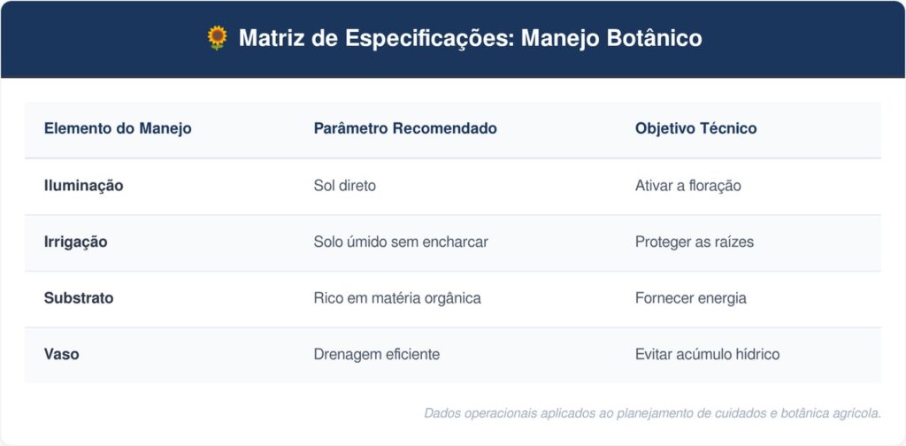 Girassol-anao-tabela-1024x504 A flor mais vibrante para cultivar a partir de sementes: como cuidar do girassol anão e fazer florescer no vaso
