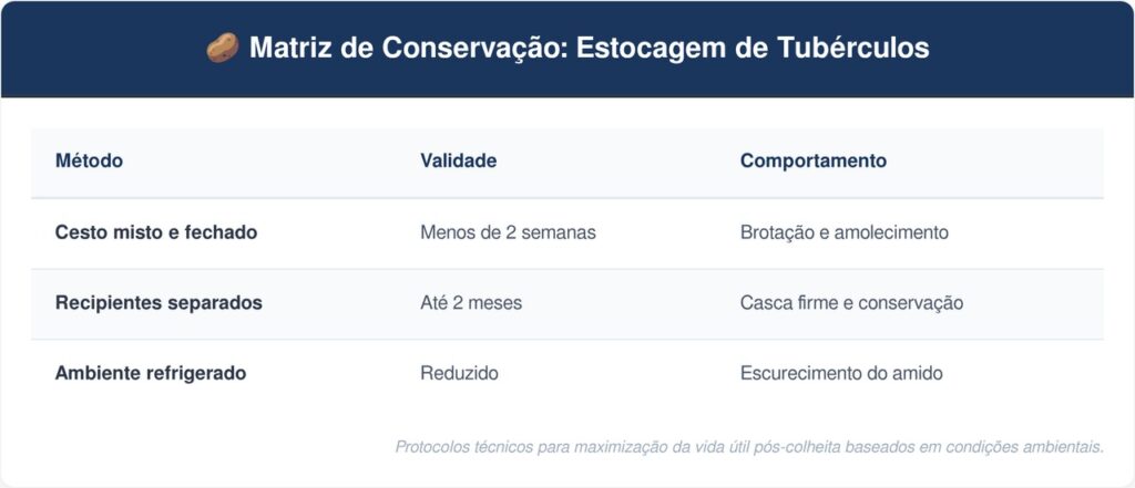 Guardar-a-cebola-tabela-1024x441 Pare de guardar a cebola no mesmo cesto da batata: essa é a maneira correta de separar os dois vegetais para evitar que os gases acelerem o apodrecimento