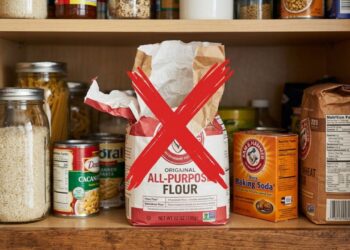 Pare de guardar o pacote aberto na despensa: conheça a forma correta de conservar a farinha de trigo sob refrigeração para evitar o surgimento de insetos
