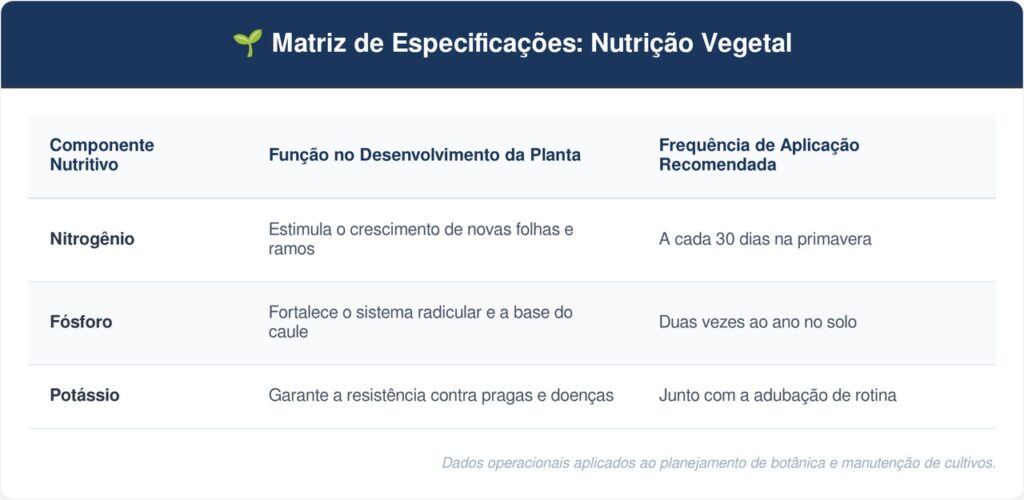Guine-tabela-1024x500 A planta mais tradicional dos quintais brasileiros: como cuidar da guiné e fazer a touceira dobrar de tamanho