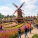 Cápsula do tempo para 2108 e o campo que produz 40% das flores do país: a Holanda brasileira escondida no interior de São Paulo