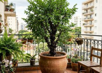 A árvore nativa mais adaptável para cultivar em vaso: como cuidar e fazer esta espécie dar frutos na sacada