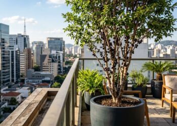 Essa planta é ideal para o seu terraço: não racha o vaso, proporciona frescor e dá frutos deliciosos direto no tronco