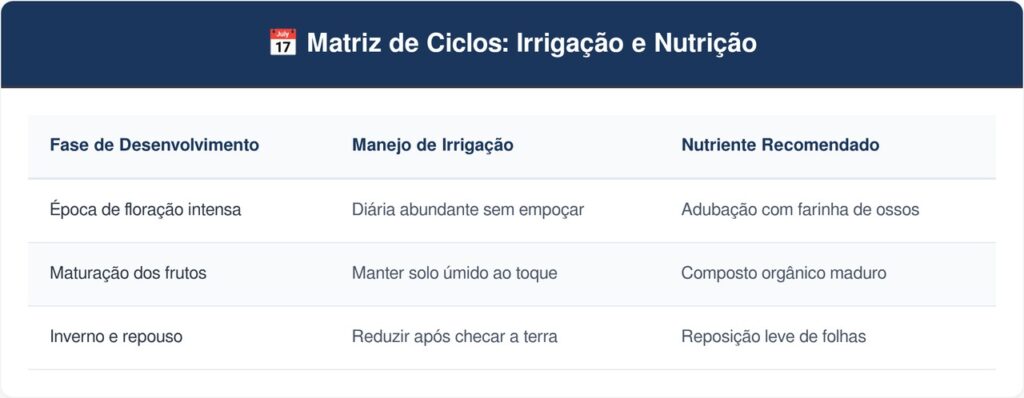 Jabuticabeira-hibrida-tabela-1024x398 Essa planta é ideal para o seu terraço: não racha o vaso, proporciona frescor e dá frutos deliciosos direto no tronco