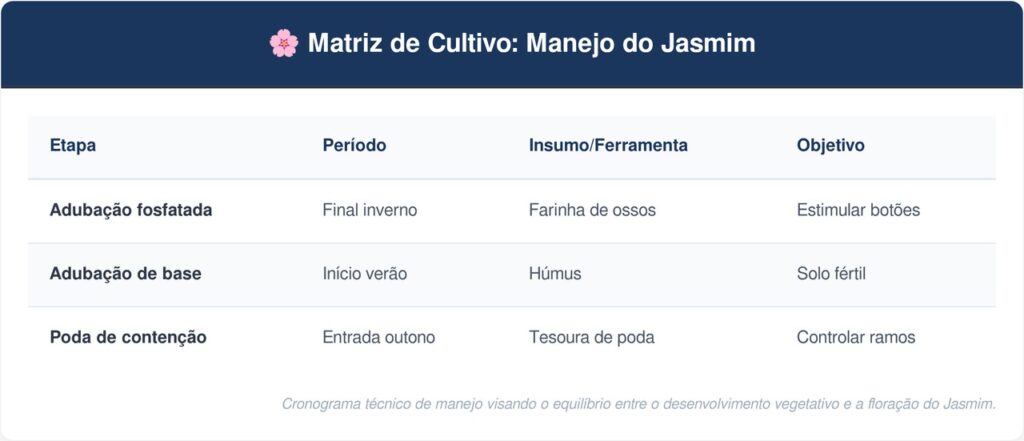 Jasmim-tabela-1024x441 Jardim em casa: a trepadeira perfumada que cresce em qualquer varanda ensolarada e perfuma a casa à noite