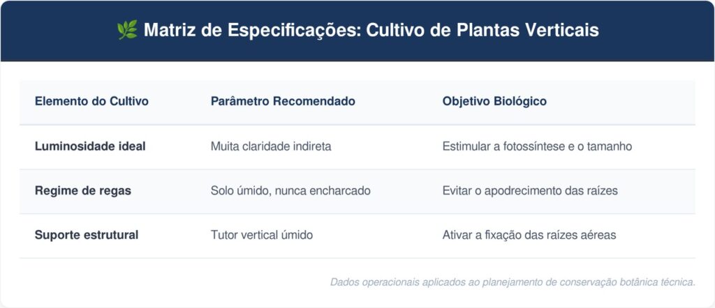 Jiboia-tabela-1024x442 A trepadeira mais versátil para cultivar em prateleiras: como cuidar da jibóia e fazer suas folhas crescerem gigantes