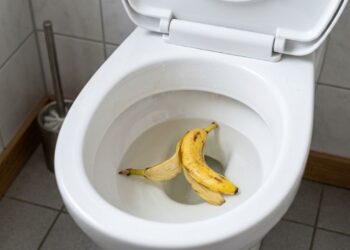 Jogar casca de banana no vaso sanitário: para que serve e por que é recomendado fazer isso toda semana