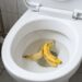 Jogar casca de banana no vaso sanitário: para que serve e por que é recomendado fazer isso toda semana