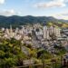 A uva mais consumida do Brasil nasceu por acaso nesta cidade paulista hoje apontada como a 3ª melhor do país para viver