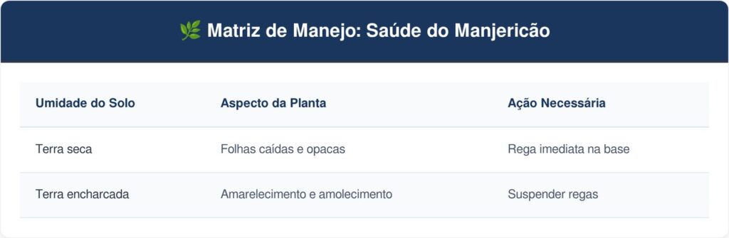 Manjericao-tabela-1024x335 A planta aromática mais útil para cultivar na cozinha: como cuidar e fazer esta erva não murchar