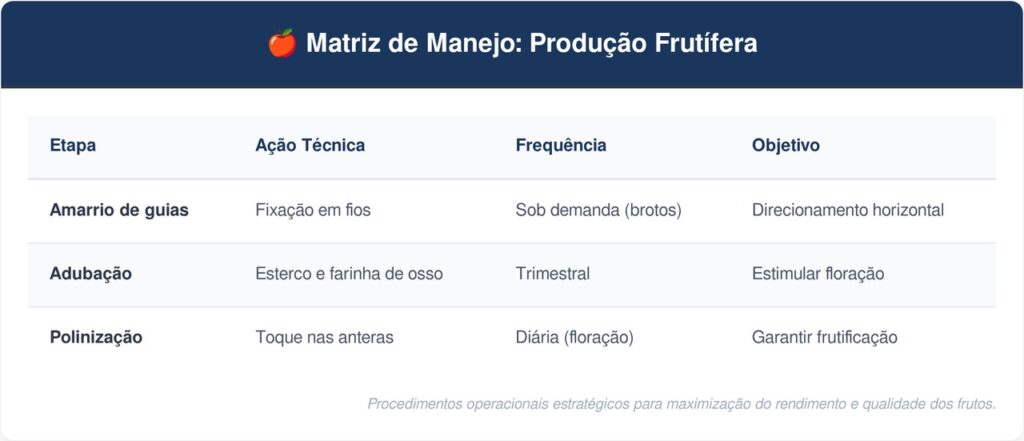 Maracuja-tabela-1024x441 A trepadeira frutífera mais rápida para cobrir muros: como cuidar do maracujá e fazer a polinização manual