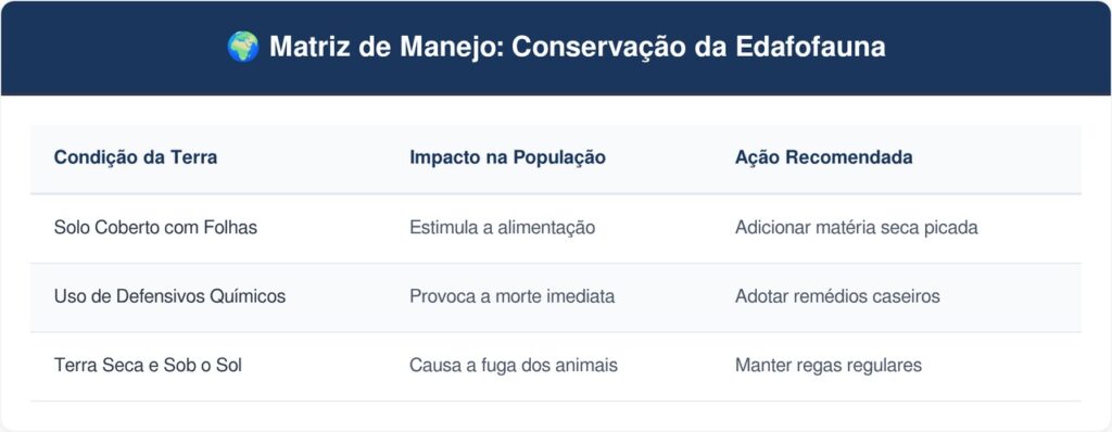 Minhocas-tabela-1024x398 Se você encontrar estas surpresas na terra do seu jardim, nós lhe diremos o que isso significa e por que é algo bom
