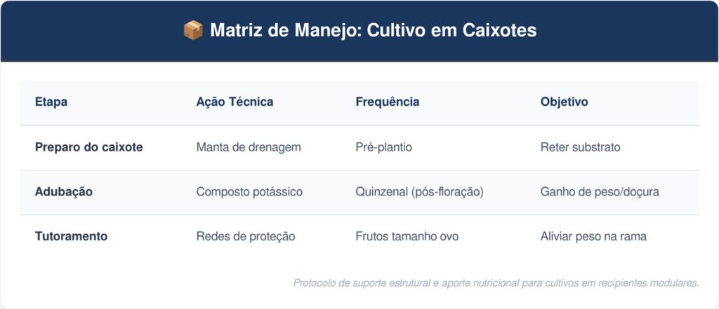 Mini-melancia-tabela-1024x441 Como plantar mini melancia em caixotes de feira com o adubo certo para o fruto crescer forte e doce