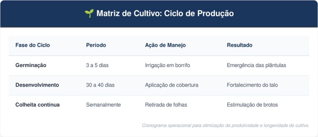 Mostarda-tabela-1024x441 A folha mais picante para cultivar no inverno: como cuidar da mostarda e fazer colheitas semanais