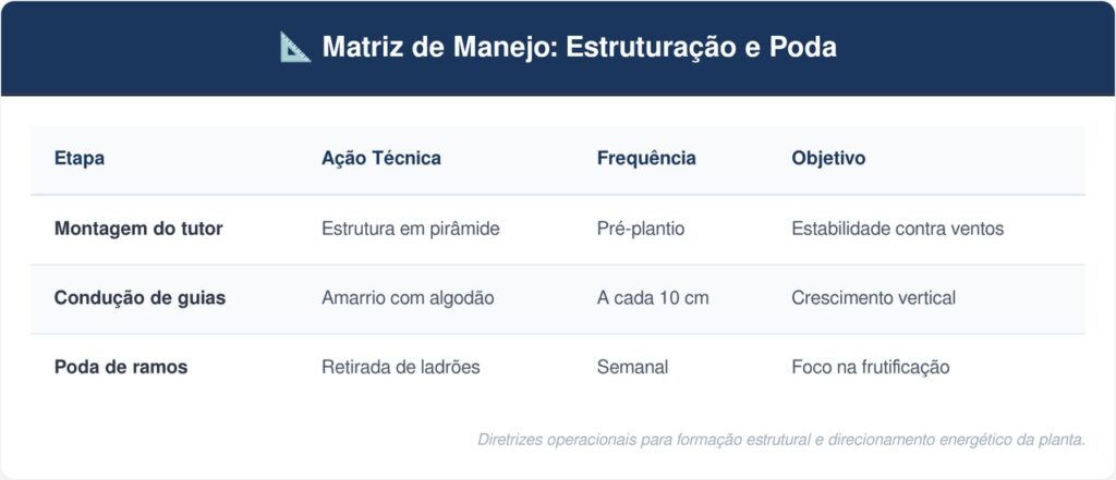 Pepino-tabela-1024x441 Horta em casa: a trepadeira rasteira que cresce em qualquer varanda ensolarada utilizando tutores de bambu