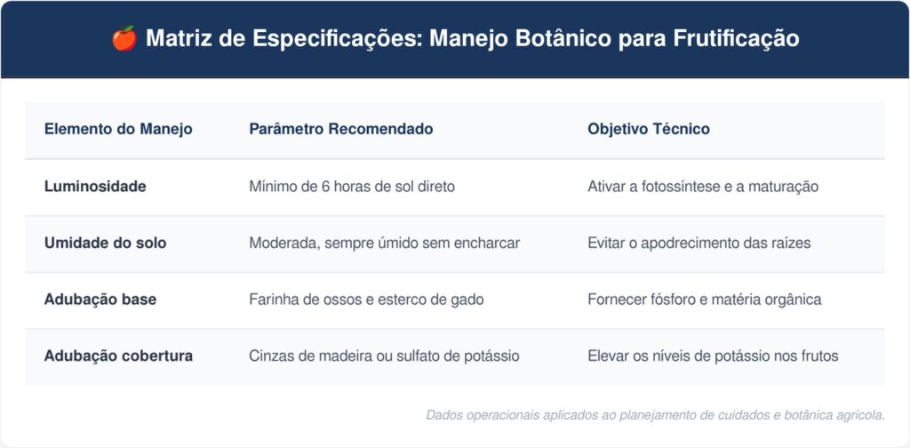 Pimenta-biquinho-tabela-1024x504 Como plantar pimenta biquinho em casa com o adubo certo para a planta crescer forte sem arder
