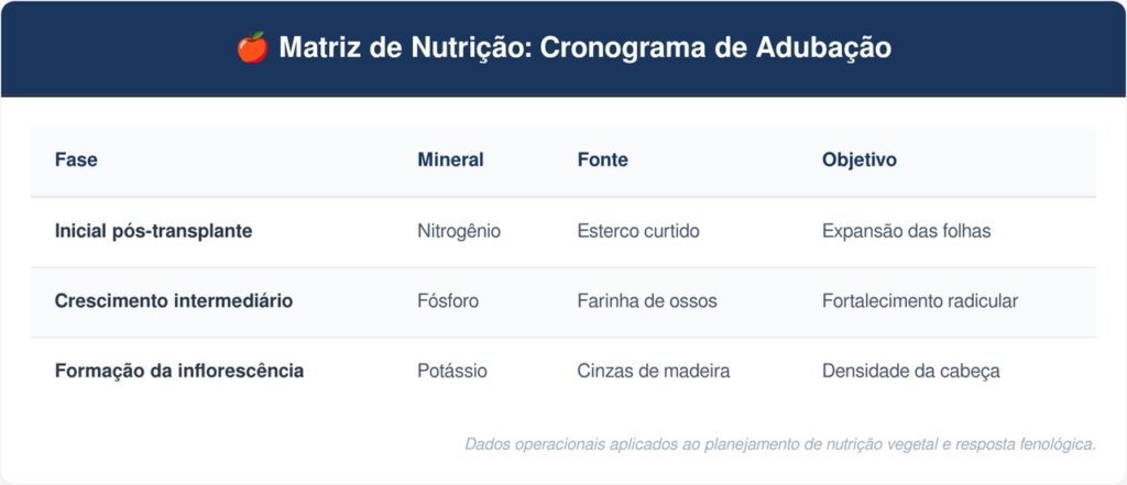 Plantar-brocolis-tabela-1024x441 Como plantar brócolis em casa com o espaçamento certo para a planta crescer forte sem competir por nutrientes
