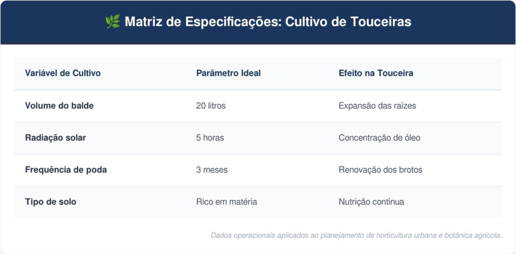 Plantar-capim-limao-tabela-1024x504 Como plantar capim-limão em baldes com um cuidado na poda que faz diferença no crescimento da touceira