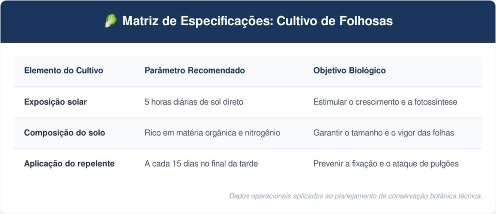 Plantar-couve-manteiga-tabela-1024x441 Como plantar couve-manteiga no quintal com um cuidado contra pulgões que faz diferença no crescimento