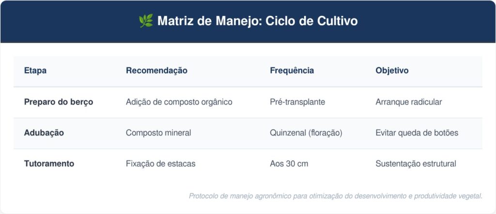 Plantar-jilo-tabela-1024x441 Como plantar jiló em casa com o adubo rico em potássio para a planta crescer forte e produzir muito