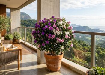 Como plantar manacá-da-serra anão em vaso com um cuidado na rega que faz diferença na mudança de cor das flores