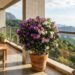 Como plantar manacá-da-serra anão em vaso com um cuidado na rega que faz diferença na mudança de cor das flores