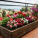 5 plantas que florescem o ano todo cujas raízes não danificam os ralos, perfeitas para pequenos canteiros