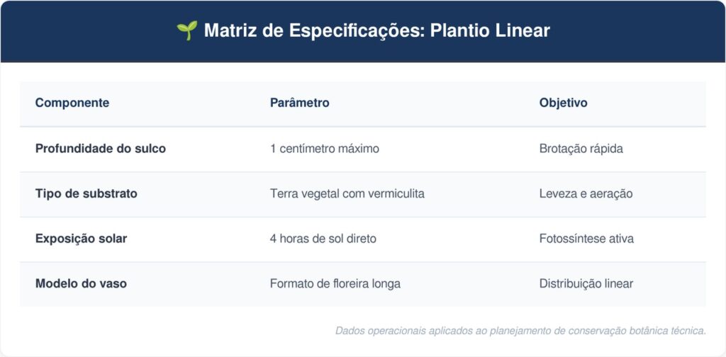 Plantio-de-coentro-tabela-1024x504 Horta em casa: o segredo do plantio de coentro que cresce rápido em qualquer varanda de apartamento