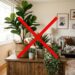 Adeus às plantas de plástico na decoração: a nova tendência é mais elegante e proporciona frescor com folhagens secas naturais