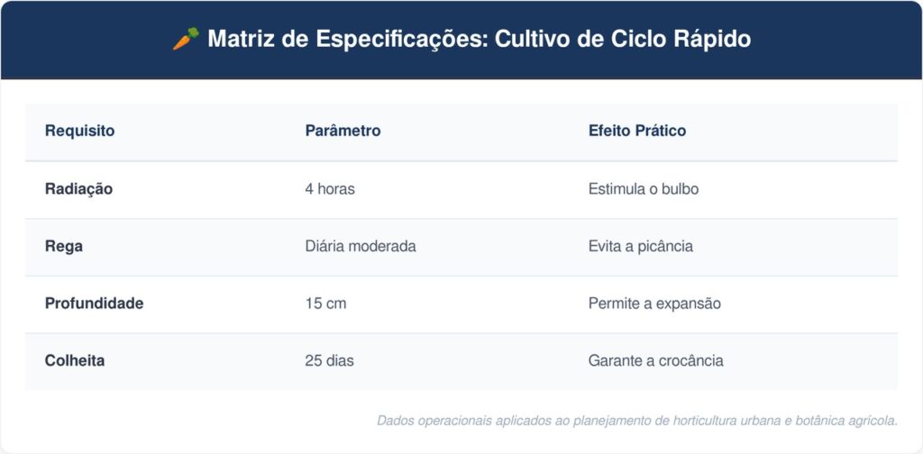Rabanete-tabela-1024x504 Horta em casa: o tubérculo de crescimento rápido que brota em qualquer janela ensolarada em menos de um mês