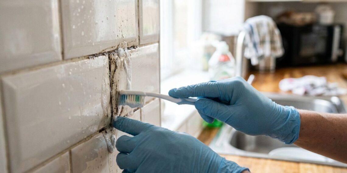 Como limpar e desencardir o rejunte escuro do azulejo na região do fogão: o truque fácil de aplicar uma pasta de sapólio cremoso e esfregar com escova de dentes