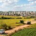 Pilar da economia rural brasileira com produção recorde de proteína: registro histórico de um nome que quase foi outra marca singular
