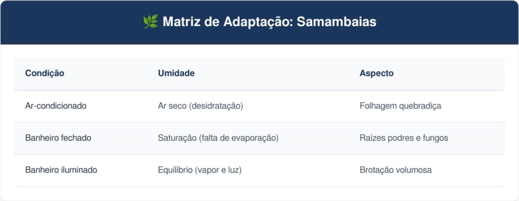 Samambaias-tabela-1024x398 A planta mística mais clássica para cultivar no banheiro bem iluminado: como cuidar e fazer esta espécie ficar volumosa