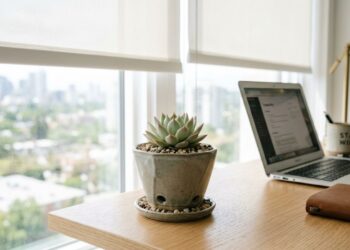 A planta mais prática para cultivar na mesa de trabalho: como cuidar de suculentas e fazer mudas pelas folhas