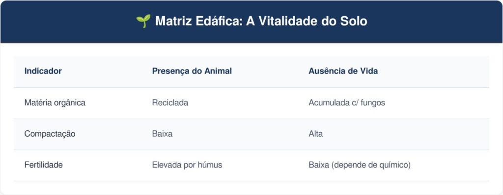 Tatu-bola-tabela-1024x398 Se você encontrar este pequeno animal enrolado embaixo do vaso, nós lhe diremos o que isso significa e por que é algo bom