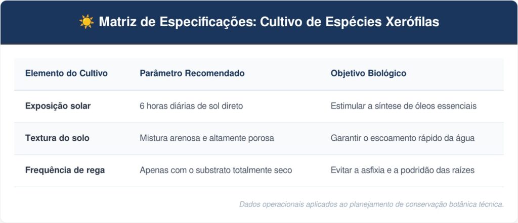 Tomilho-tabela-1024x442 Horta em casa: o tempero rústico que cresce em qualquer janela ensolarada e exige pouquíssima água