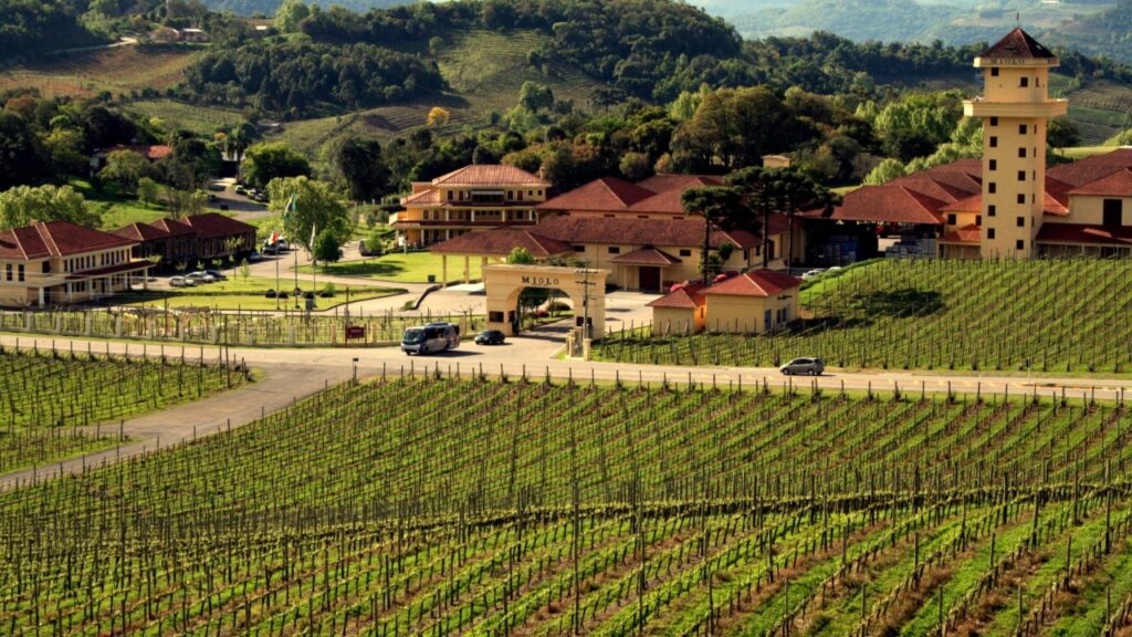 Vignoble_de_la_Vale_dos_Vinhedos_Vinicola_Miolo-1024x576 A primeira região do Brasil a ter selo de origem para o vinho, como na Europa: a capital nacional do vinho nascida de imigrantes italianos em 1875