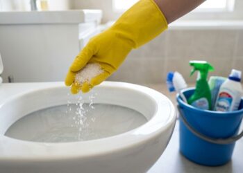 Por que você deve adicionar sal ao seu vaso sanitário: lembre-se disso para o resto da vida e conte para sua família