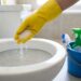 Por que você deve adicionar sal ao seu vaso sanitário: lembre-se disso para o resto da vida e conte para sua família