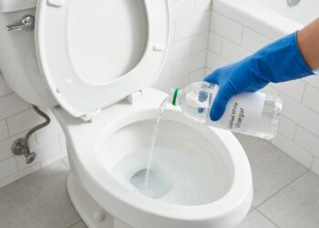O que acontece se você despejar vinagre no vaso sanitário e deixar durante a noite? O que acontecerá pela manhã?