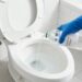 O que acontece se você despejar vinagre no vaso sanitário e deixar durante a noite? O que acontecerá pela manhã?