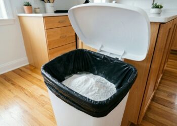 Despeje esse pó branco no fundo da sua lixeira e elimine o mau odor em poucos instantes com um truque simples, barato e surpreendentemente eficaz para manter a casa sempre fresca