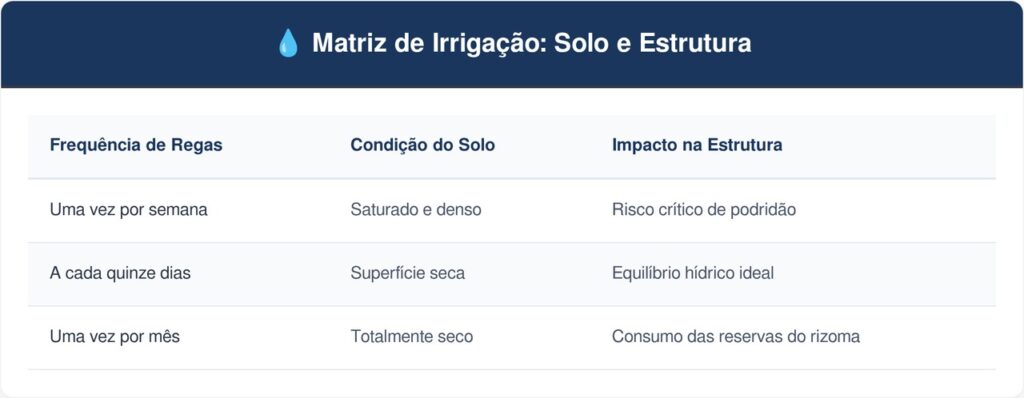 Zamioculca-tabela-1-1024x398 A planta africana mais independente para cultivar no corredor escuro: como cuidar e fazer esta folhagem brilhar