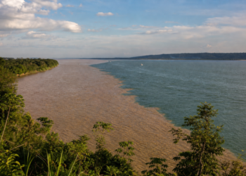 Encontro das águas em Santarém com o Rio Tapajós esverdeado ao lado do Rio Amazonas barrento, sem se misturar.