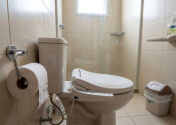 O papel higiênico pode em breve se tornar coisa do passado: cada vez mais pessoas estão optando por essa nova solução, muito mais higiênica